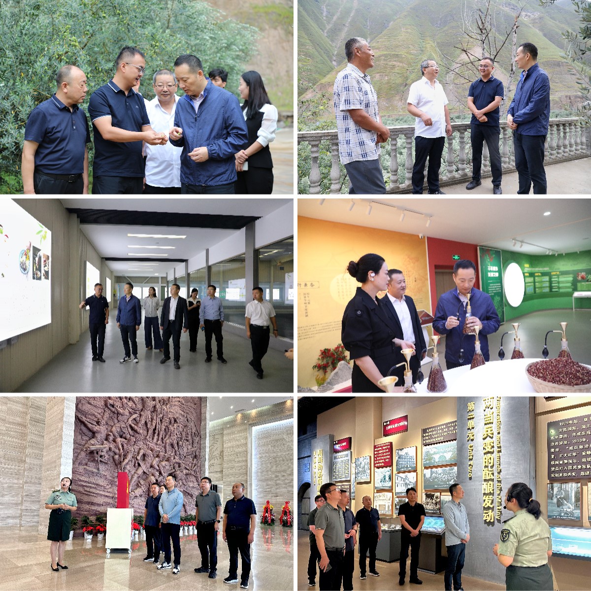 Stake(中国区)官方网站